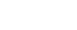 Türkiye Yüzyılı